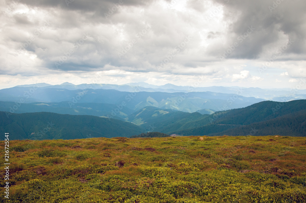 Obraz premium Amazing mountain landscape in vivid sunny day, natural outdoor travel background. Dramatic and picturesque scene of Carpathian mountains in Ukraine.