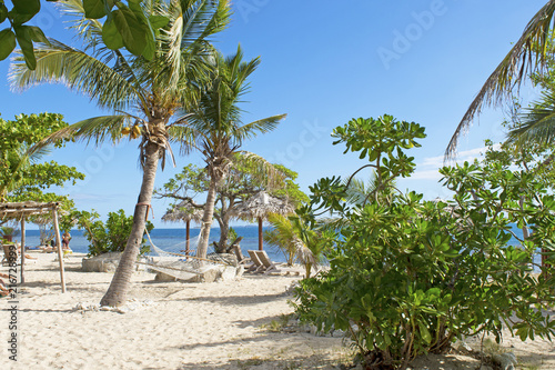 palm trees and white sand on a tropical island.