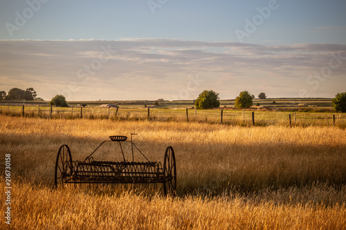 Obraz na plátně Antique hay rake in a farmers field at sunset.