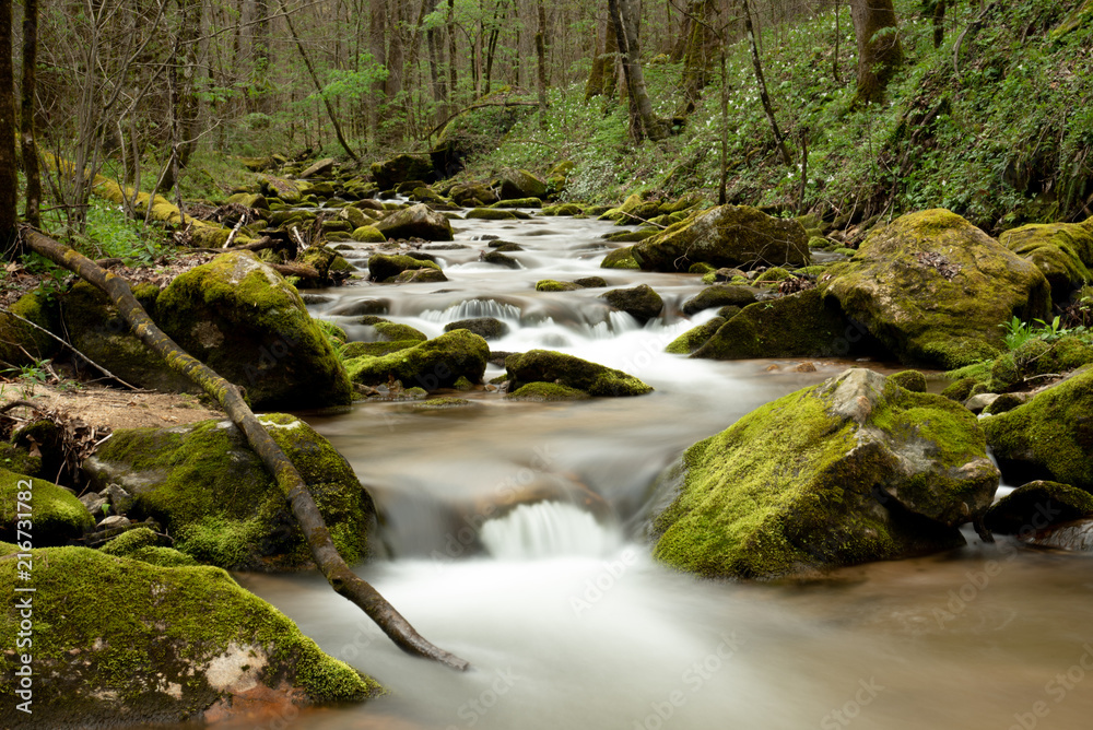 Creek Creek