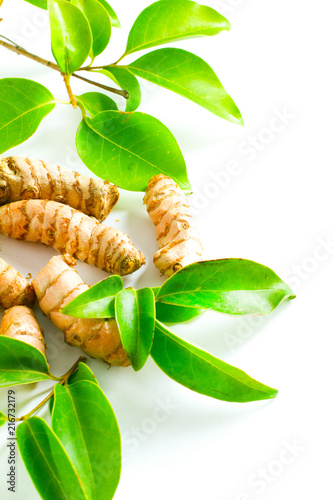 Turmeric roots and powder isolated on white photo