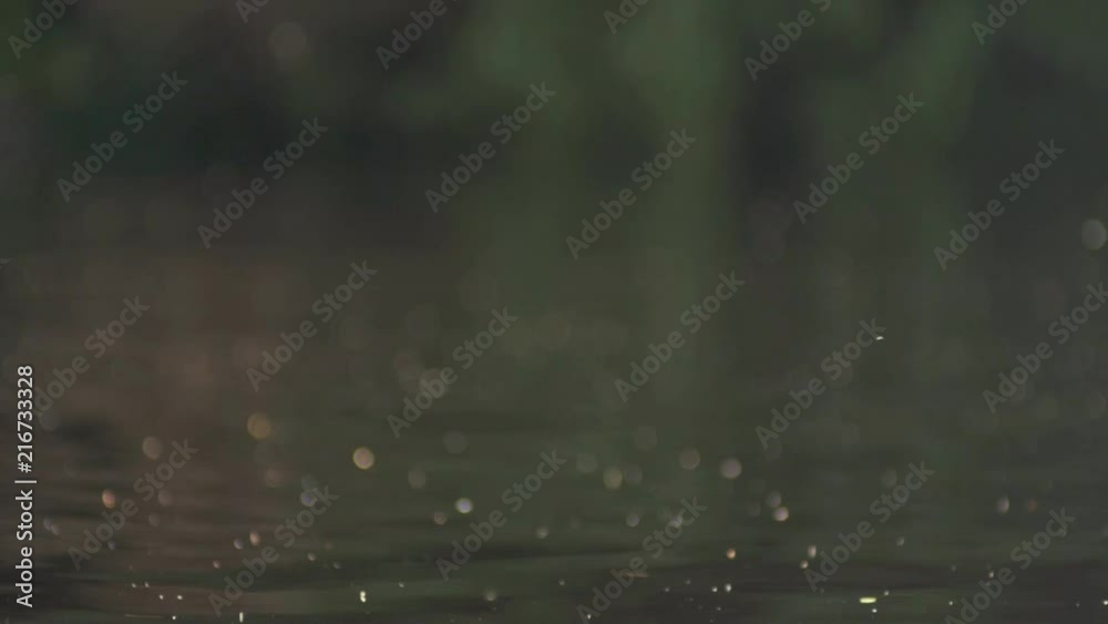 Flys Dust particles above water with trees in background shallow depth of field Flys Dust particles above water with trees in background shallow depth of field