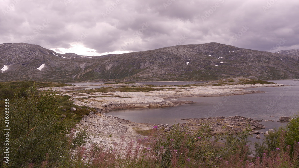 Rauschender Bach im Dovrefjell-Sunndalsfjella-Nationalpark, Norwegen