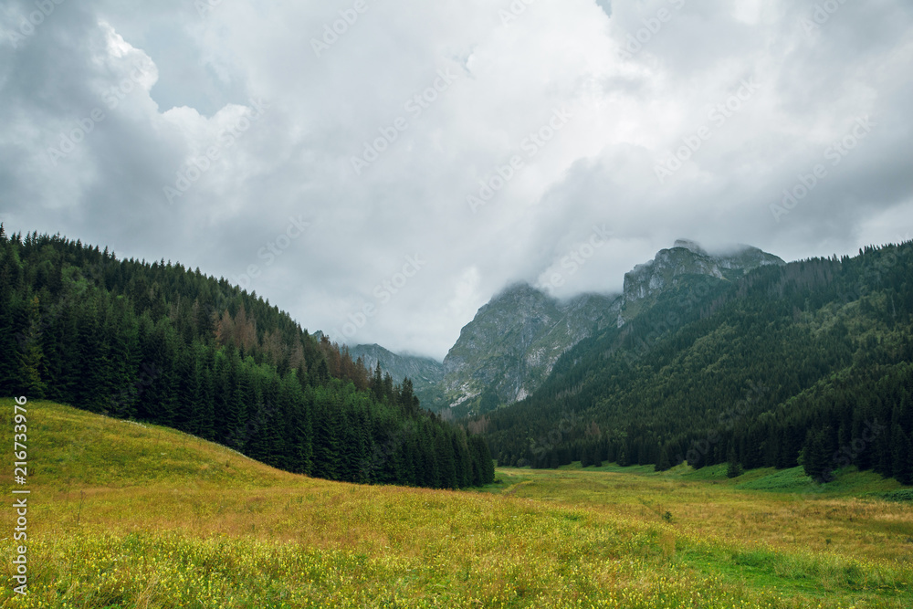 Beautiful lanscape view of green meadow and rocky Rysy mountain on background. High Tatry, Poland and Slovakia near the Marine eye. Dark clouds