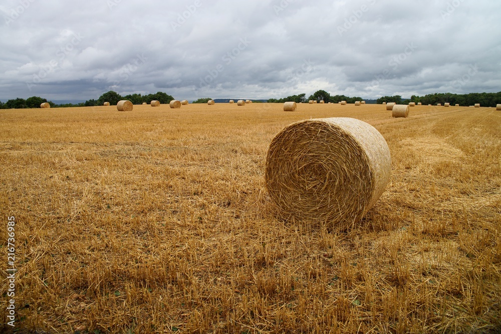 Round hay bales in stubble field Cotswold, England Round hay bales in stubble field Cotswold, England