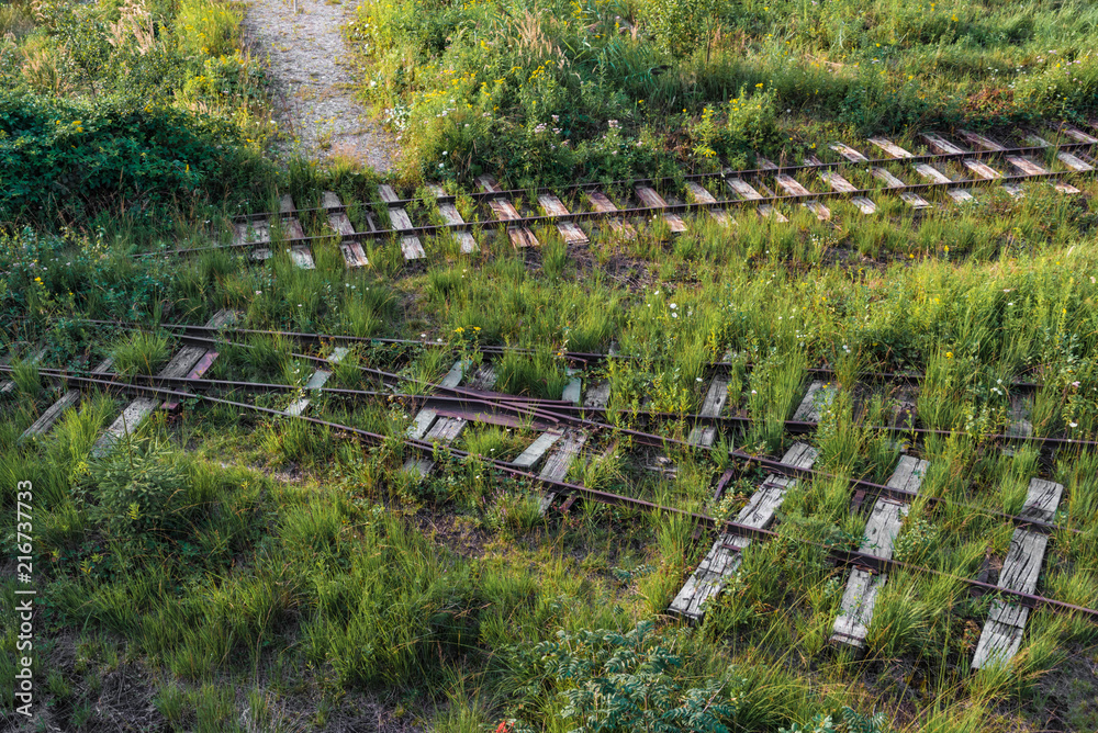 Obraz premium Eisenbahn Schienen im Gras