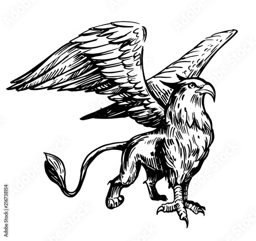 Sketch of Griffin. Hand drawn vector illustrtion