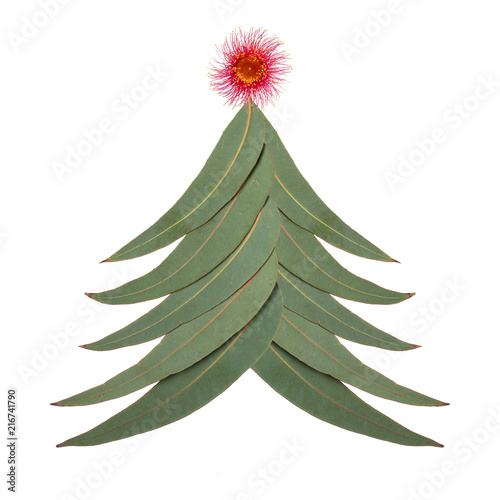 An Aussie Christmas tree made up of Australian gum tree leaves with a large red gum nut blossom