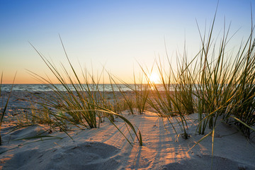 Sierkussen Strand en zee Helmgras op duinen langs strand  © marcus_hofmann