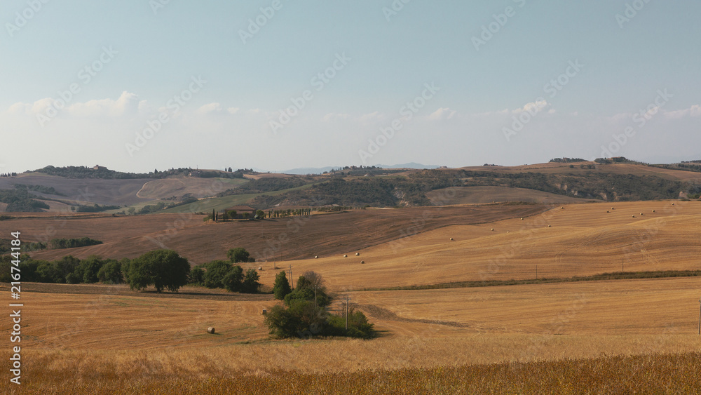 Vast Fields of Tuscany, Italy