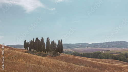 Cypresses, fields, and rolling hills of Tuscany, Italy