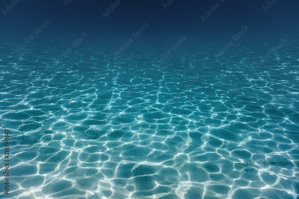 Obraz premium Piaszczyste dno morskie Podwodne tło