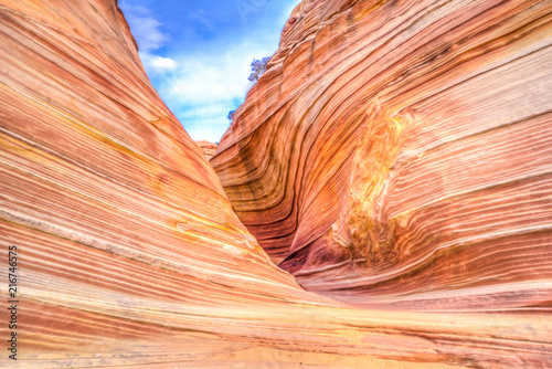 The Wave in Arizona. A magical place to visit!
