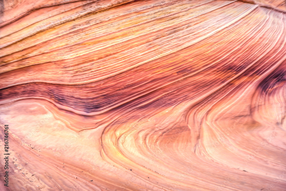 The Wave in Arizona. A magical place to visit!