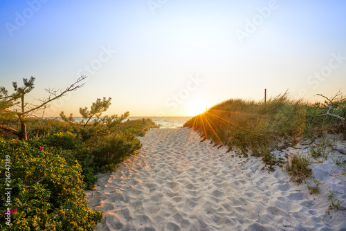 Fototapeta Naklejka Na Ścianę i Meble -  Dünen am Strand