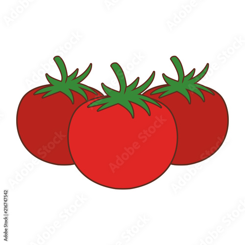 Tomatos fresh vegetables vector illustration graphic design