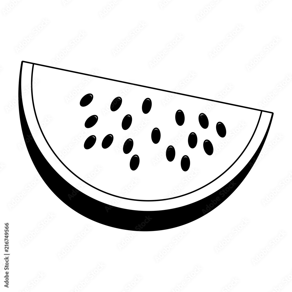 Watermelon sliced fruit vector illustration graphic design Watermelon sliced fruit vector illustration graphic design