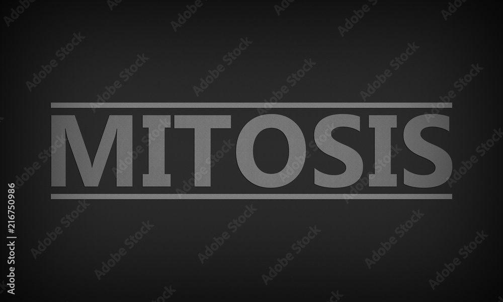 Mitosis Mitosis