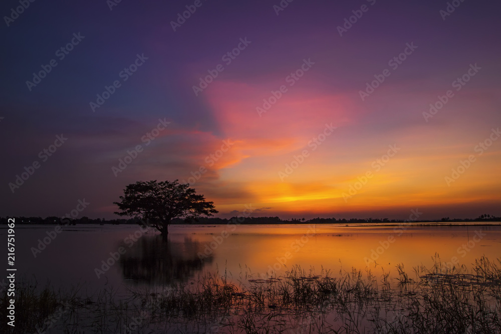Twilight sky sunset reflect on water at lake farm field landscape and tree silhouette with golden cloudy background Twilight sky sunset reflect on water at lake farm field landscape and tree silhouette with golden cloudy background