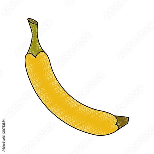 Banana delicious fruits vector illustration graphic design