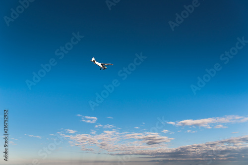 An airplane in the air against a blue sky. 