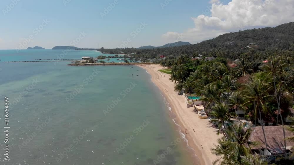 Flight over the water and palm trees along the sandy beach on sunny day Flight over the water and palm trees along the sandy beach on sunny day