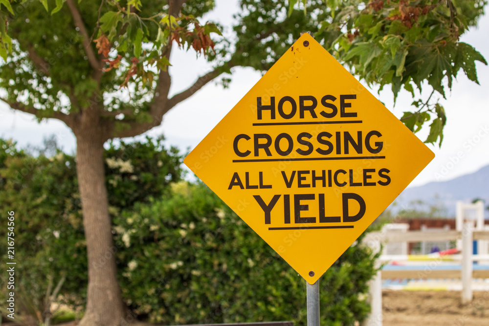 Yellow Diamond Horse Crossing Sign