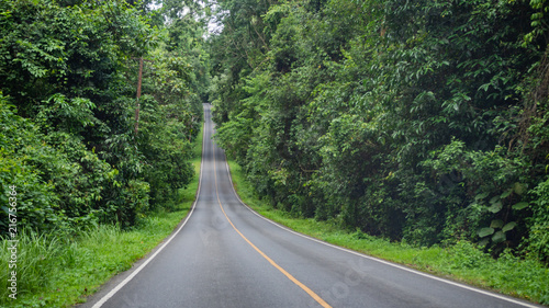 Mountain road with tropical trees along the sides