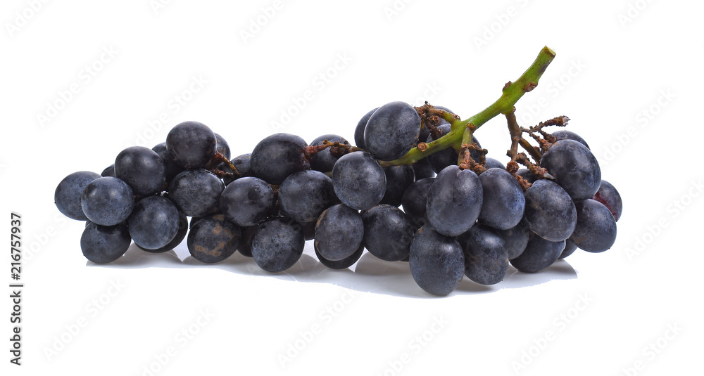 Blue wet Isabella grapes bunch isolated on white background Blue wet Isabella grapes bunch isolated on white background