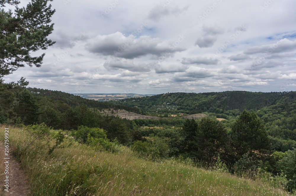 Landschaft im Sommer