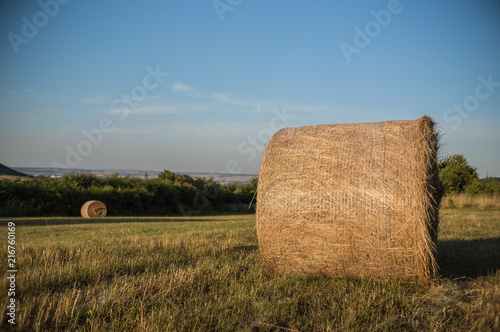 Landschaft im Sommer