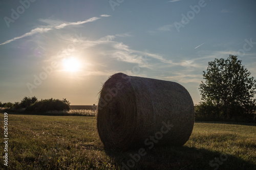 Landschaft im Sommer