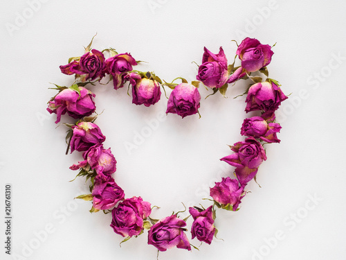 dry roses on white background