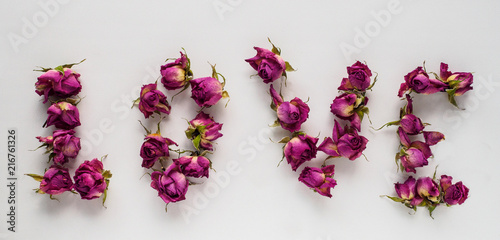 dry roses on white background