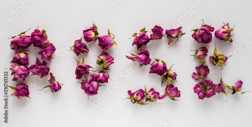 dry roses on white background