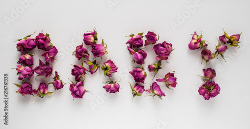 dry roses on white background