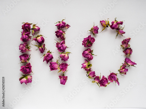 dry roses on white background