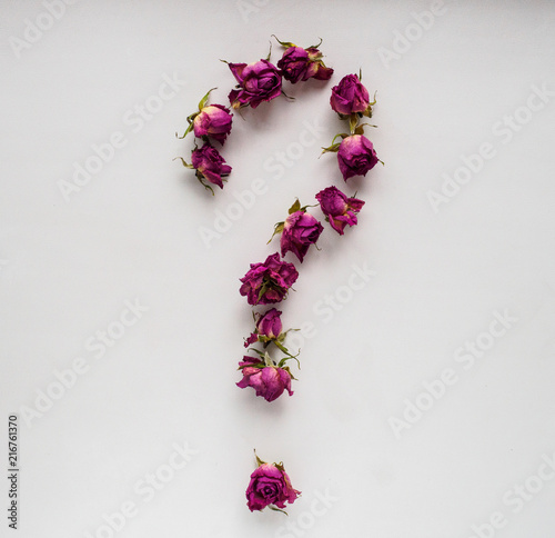 dry roses on white background