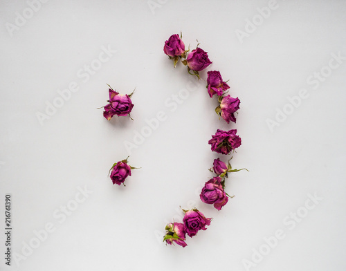 dry roses on white background