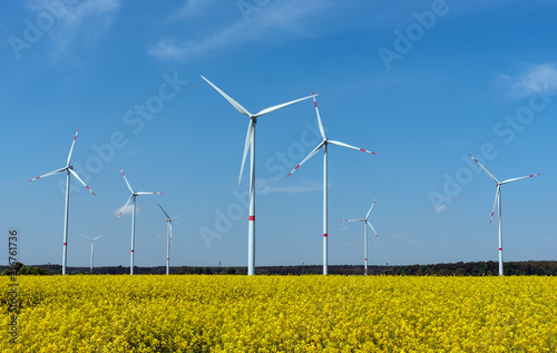 Wind power plants in a field of blooming oilseed rape seen in rural Germany