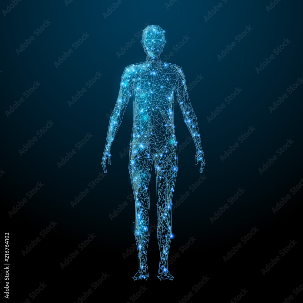 Human body low poly wireframe. Vector polygonal image in the form of a starry sky or space, consisting of points, lines, and shapes in the form of stars with destruct shapes. Human body low poly wireframe. Vector polygonal image in the form of a starry sky or space, consisting of points, lines, and shapes in the form of stars with destruct shapes.