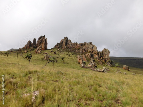 Dragons Teeth - Aberdare Ranges, Nyeri County, Kenya