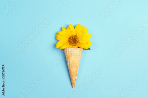 Fototapeta Naklejka Na Ścianę i Meble -  Waffle cone with sunflower on blue background.