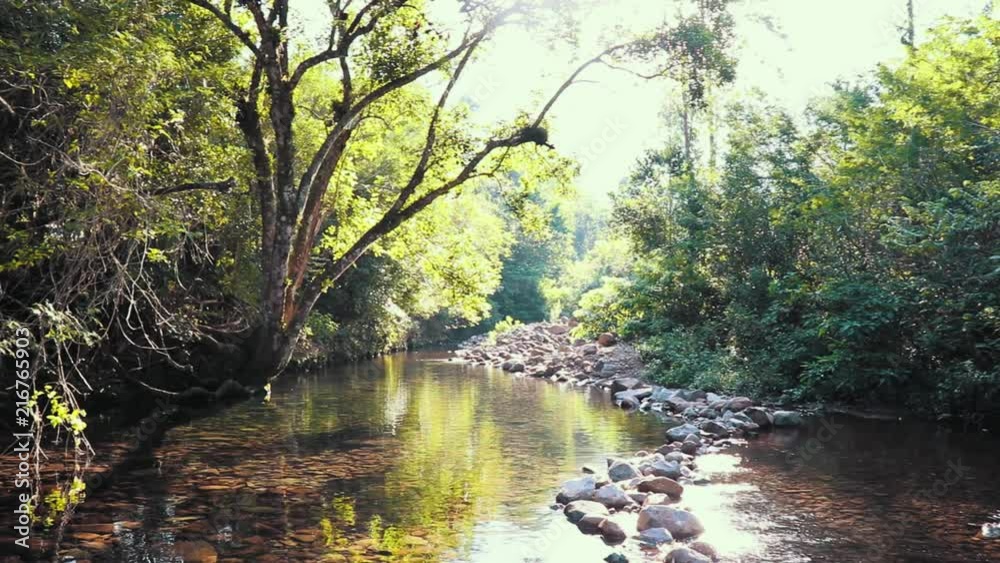 River between the trees on a mountain region. River between the trees on a mountain region.