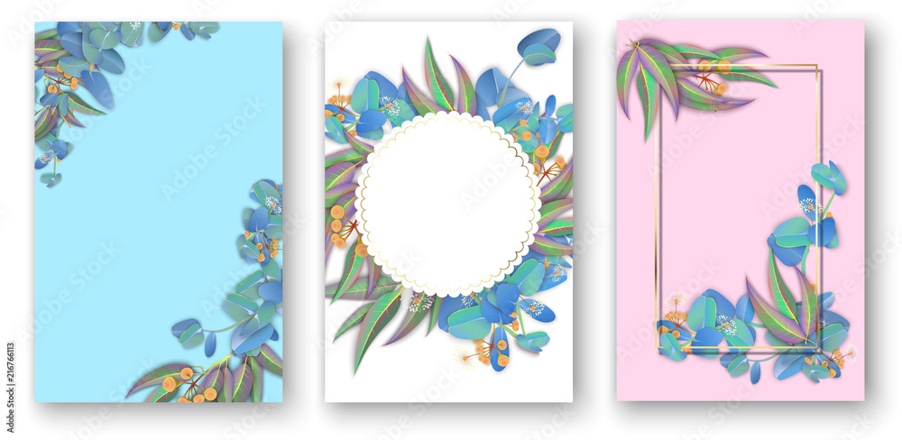 Pastel colored backgrounds with beautiful eucalyptus leaves.