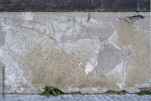 Old concrete wall with pavement and green sprouts photo