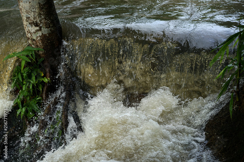 Water falls in nature rainy season