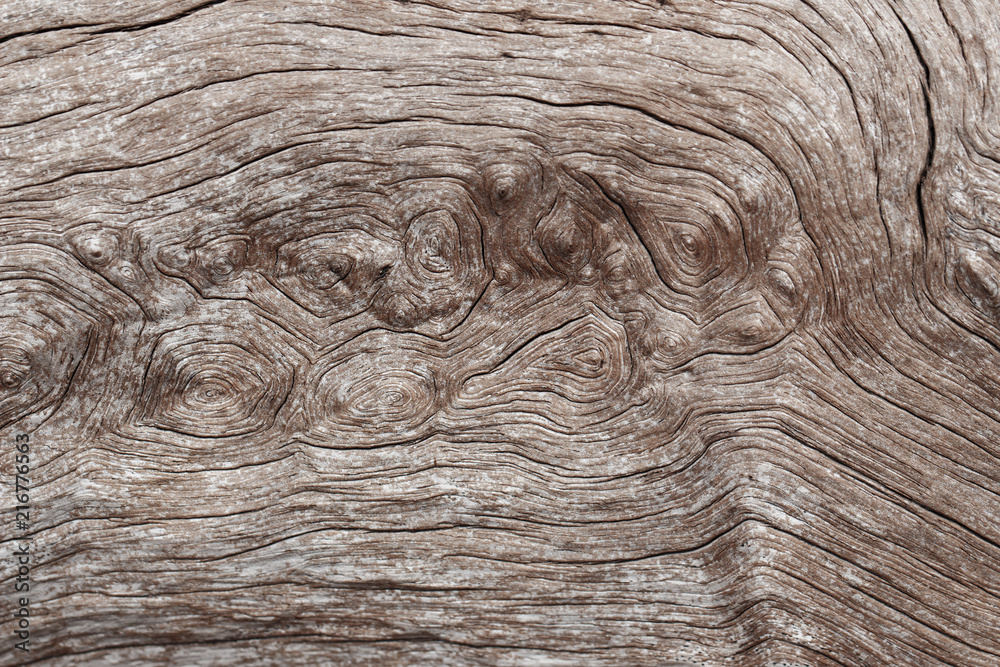 Texture of old wooden natural background Texture of old wooden natural background