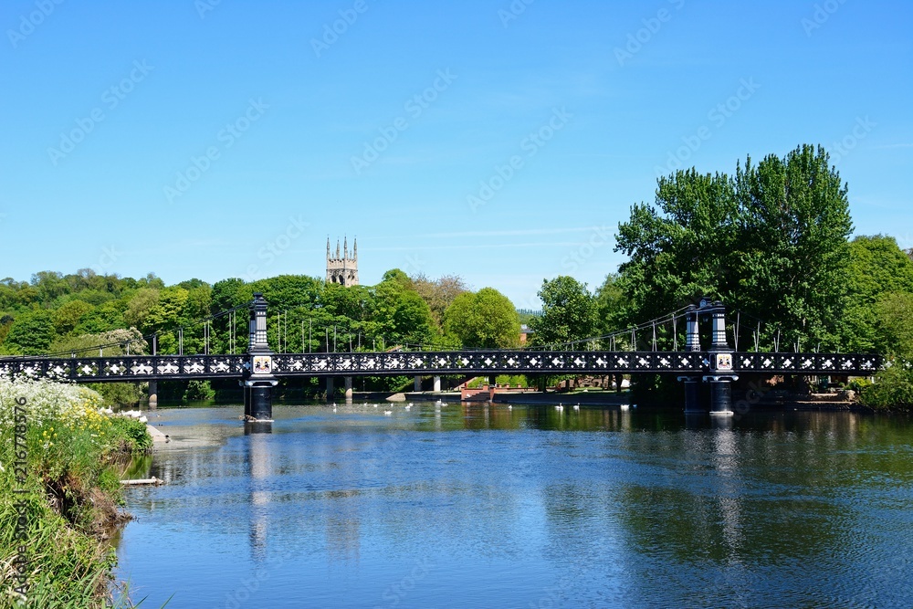 View of the Ferry Bridge also known as the Stapenhill Ferry Bridge and the River Trent with cow parsley in the foreground, Burton upon Trent, UK.