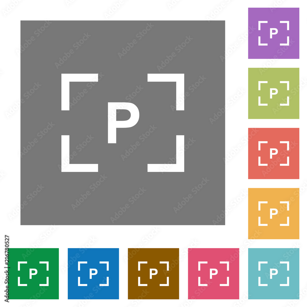 Camera program mode square flat icons Camera program mode square flat icons